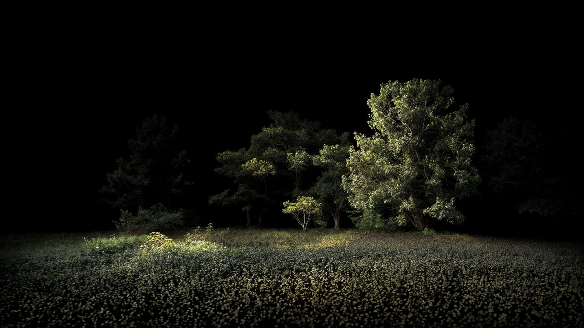 A screenshot from There Exists showing large green trees in a particle-like style generated in Unreal Engine using Niagara