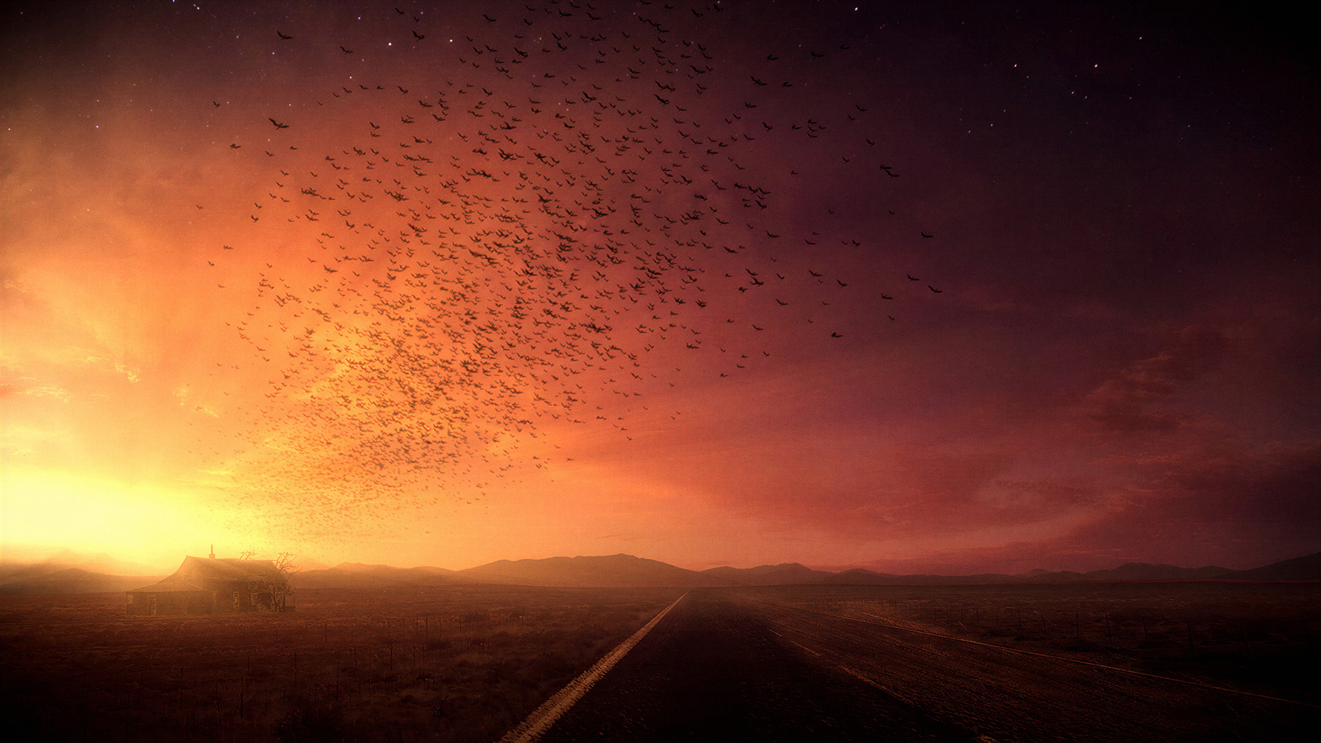 Converse Desire: a vast flock of birds swirling above a lone desert house and empty road at dusk, set against a fiery orange to purple sky