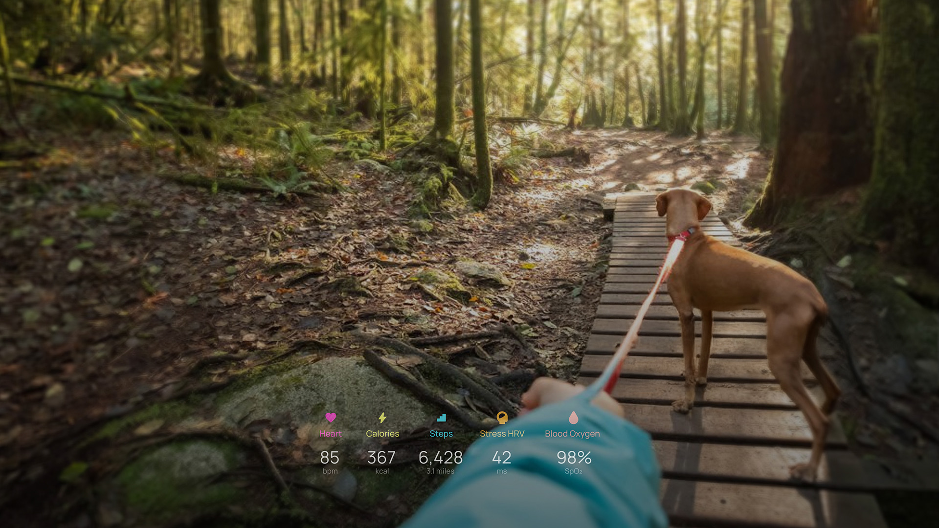 Health Games ambient AR experience showing real-time health data visualised in smartglasses