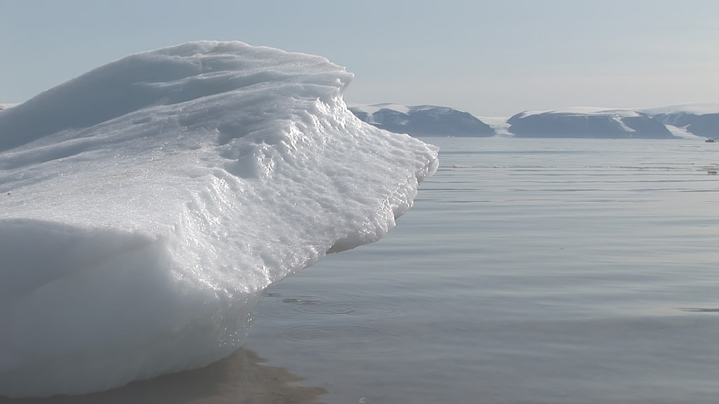 A closeup of an ice berg melting in the sun