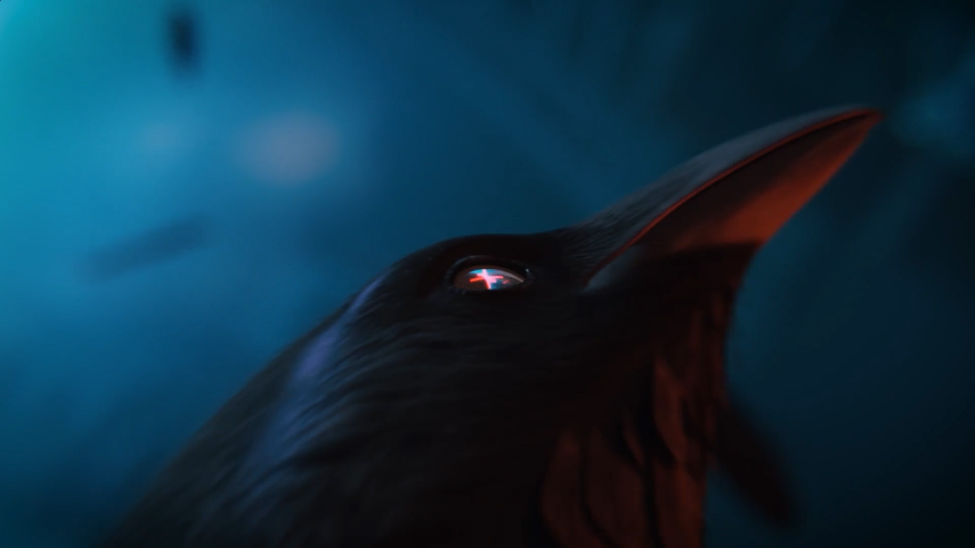 Close-up of a dark bird’s head, likely a raven, looking upward with a glowing red cross reflected in its eye against a blue, moody background.