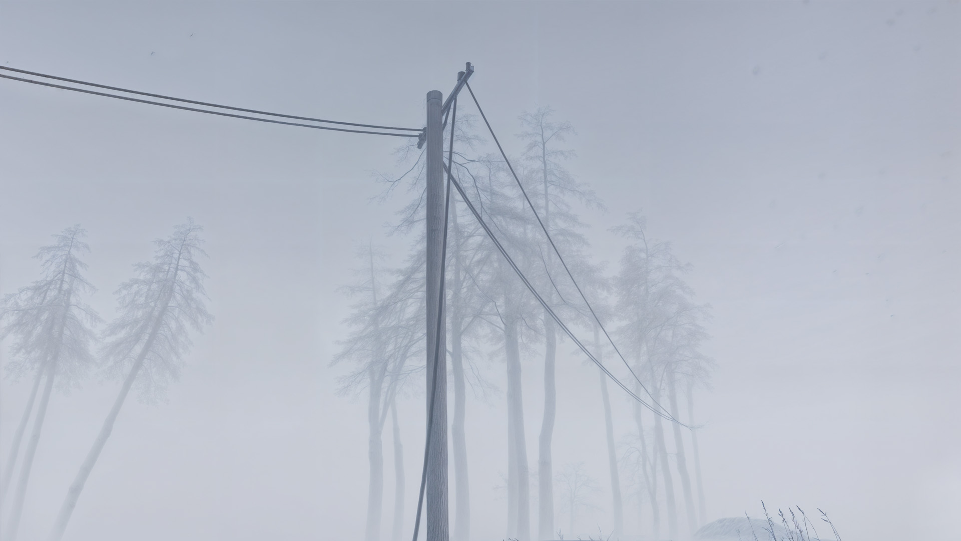 Al ghostly image of electricity pylons and a tree surrounded by fog in a snowstorm