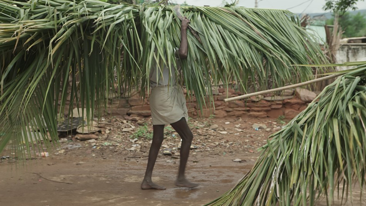 THE RETURN: A man carries a large bundle of palm fronds on his shoulder along a muddy path.