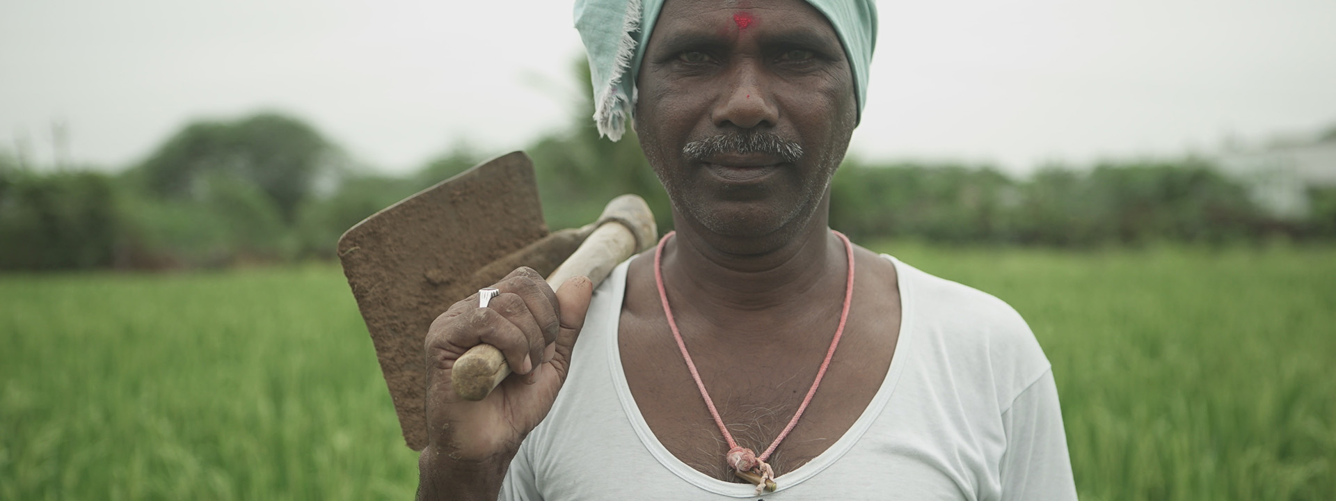 The Return: an Indian farmer standing in a rice paddy field, wearing a light blue head wrap and a red tilaka mark on his forehead, holding a mattock resting on his shoulder, palm trees visible behind him.